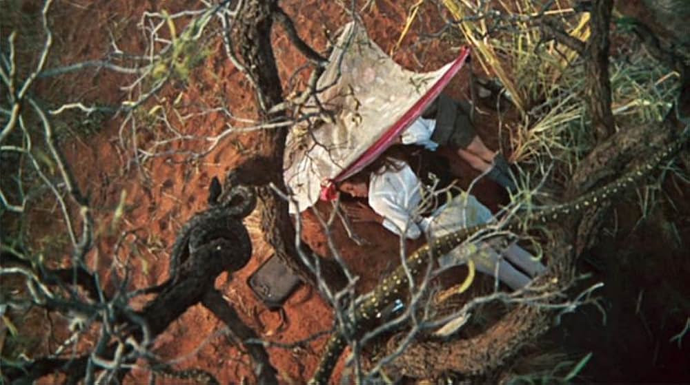 美しき冒険旅行の画像