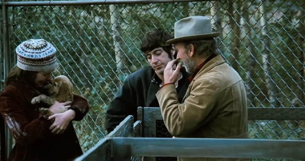 哀しみの街かどの画像