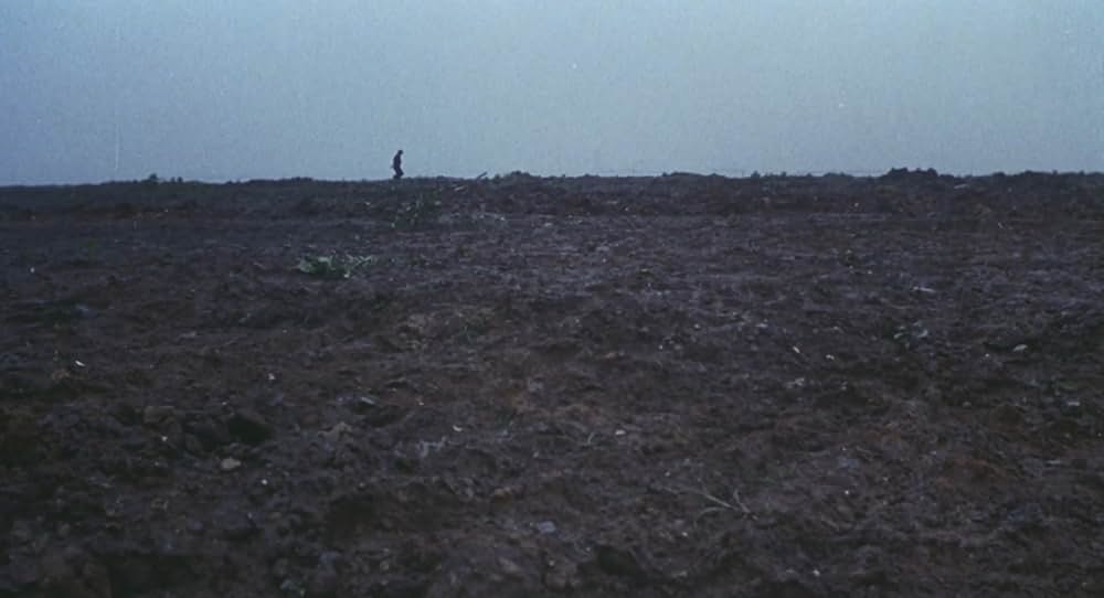 濡れた荒野を走れの写真