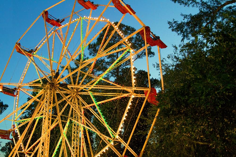 クリスマス・イン・コンウェイの画像