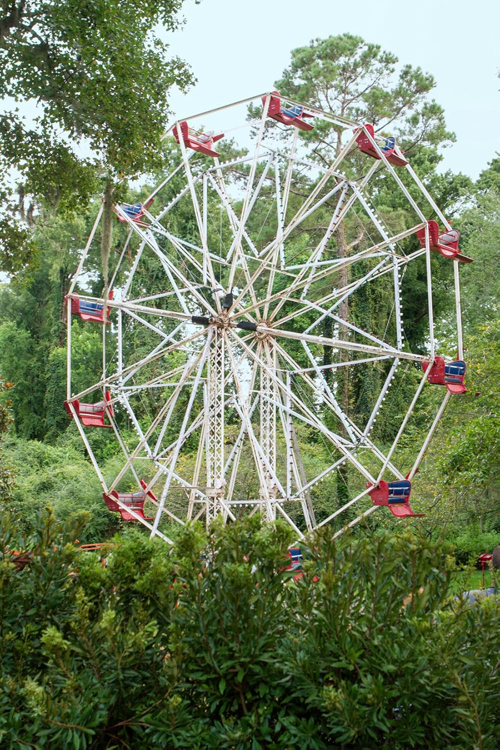 クリスマス・イン・コンウェイの画像