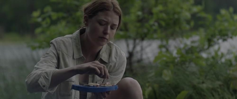 アローン・イン・ザ・ゼットの画像