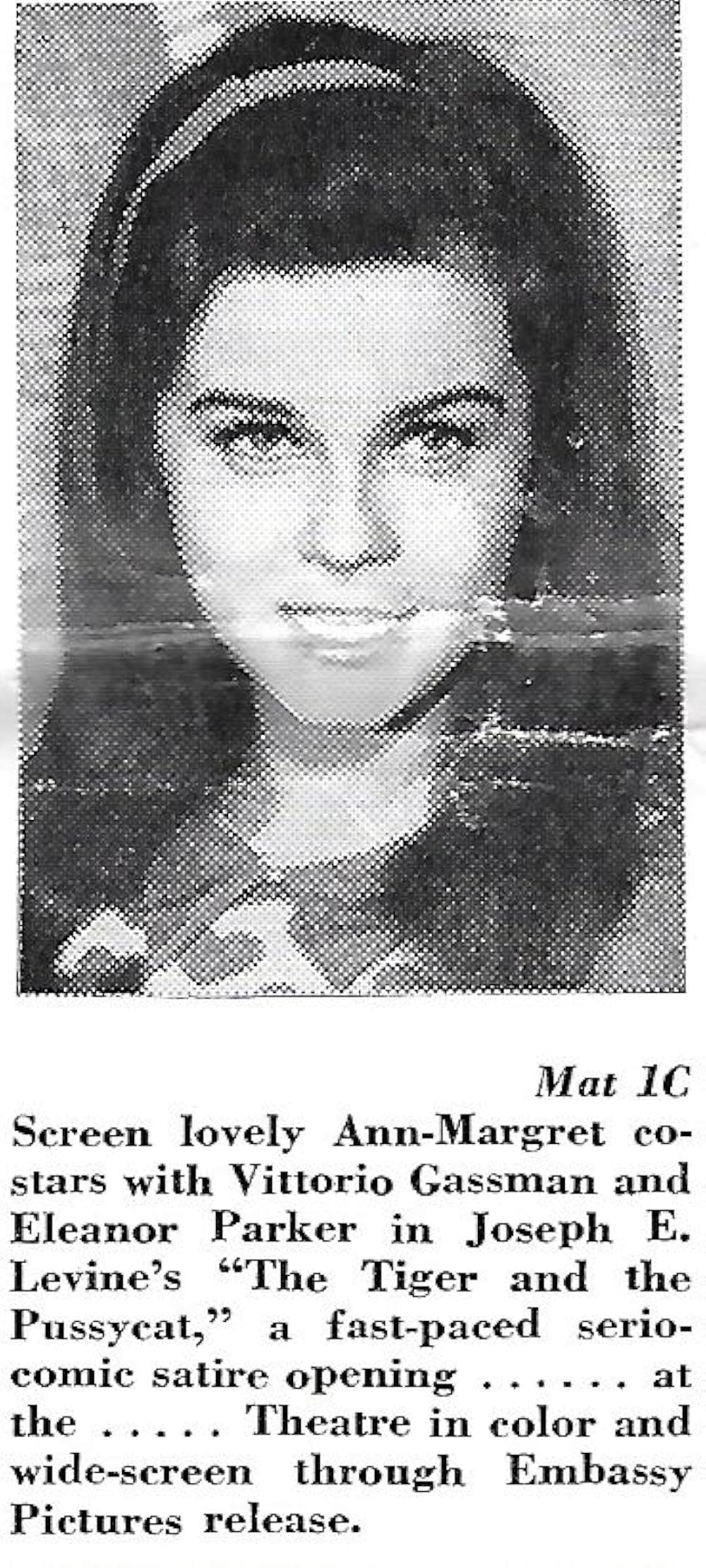 カロリーナの画像