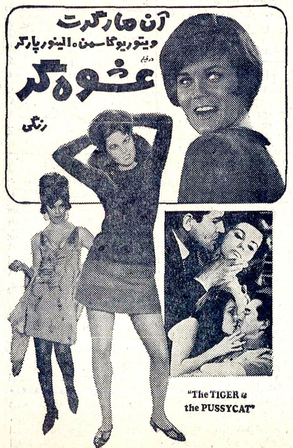 カロリーナの画像