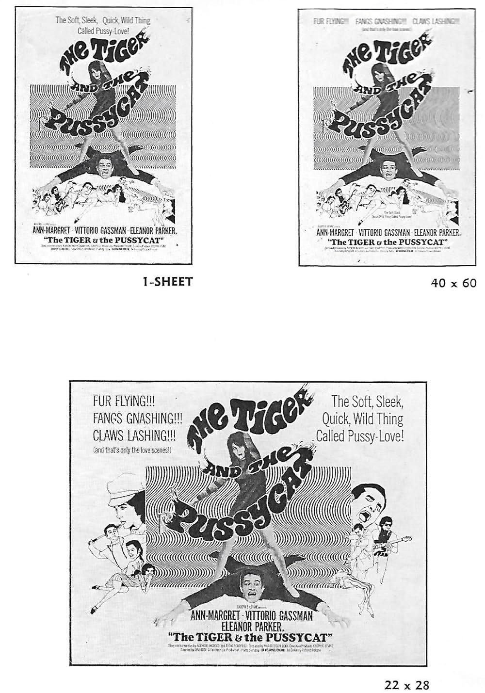 カロリーナの画像