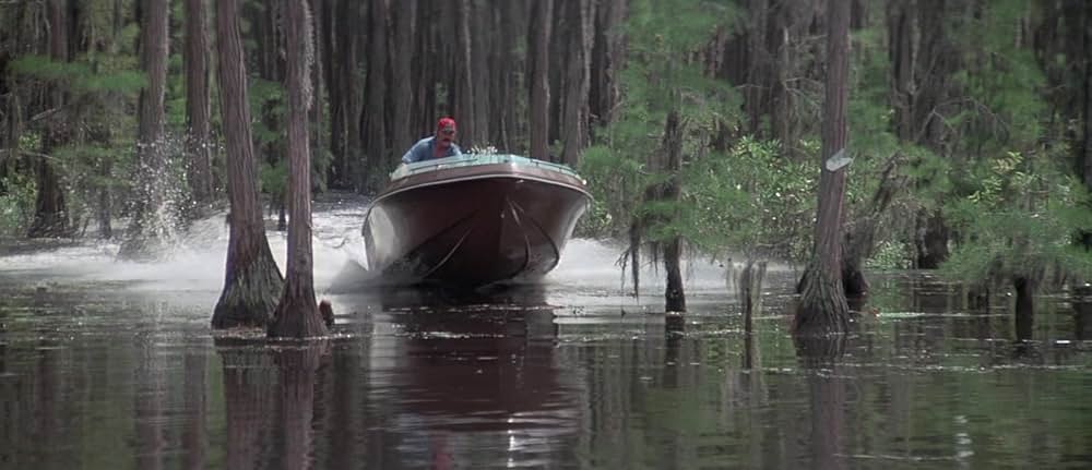 ゲイターの画像