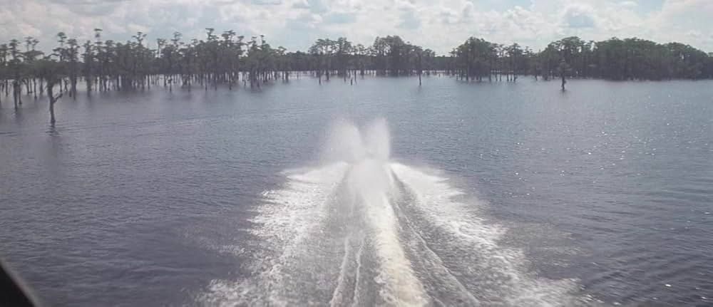 ゲイターの画像