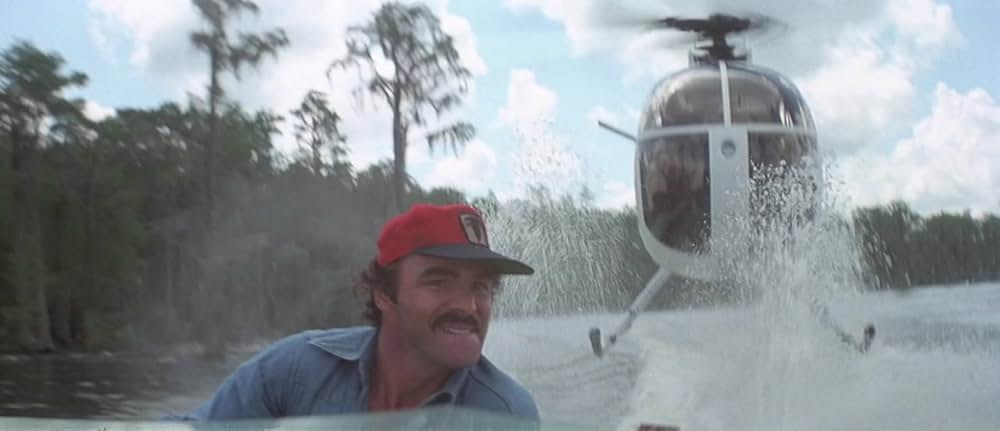 ゲイターの画像