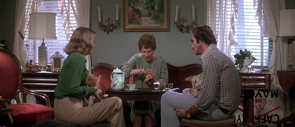 ゲイターの画像