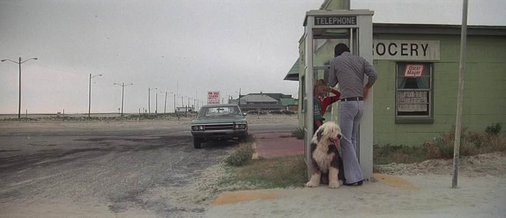 ゲイターの画像