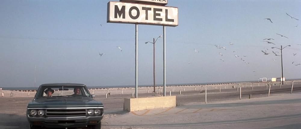 ゲイターの画像