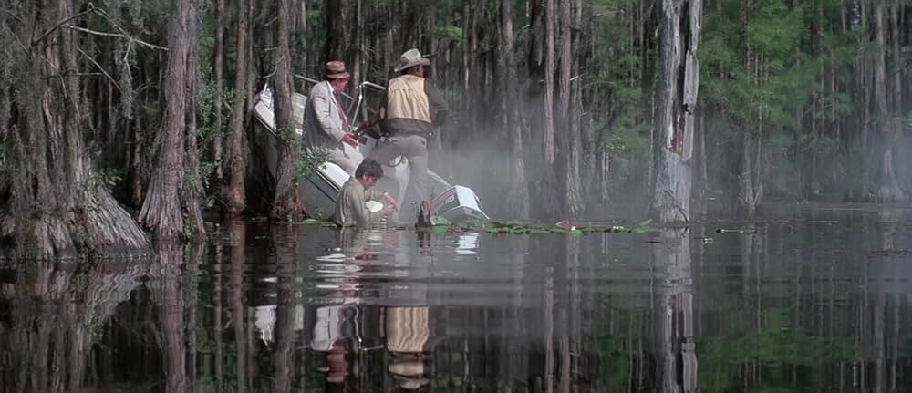 ゲイターの画像