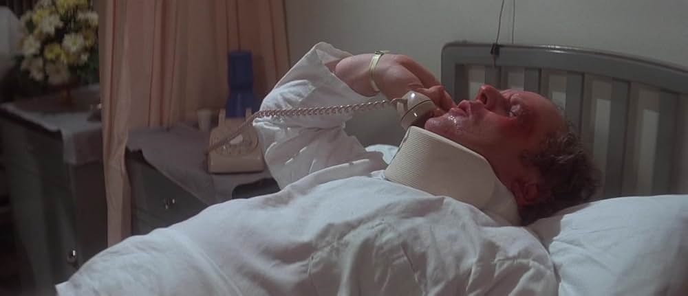 ゲイターの画像