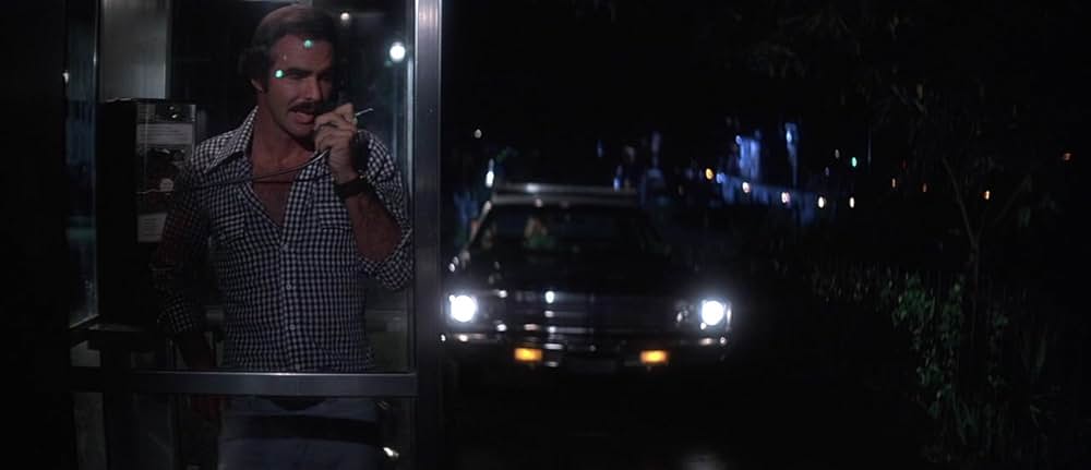 ゲイターの画像