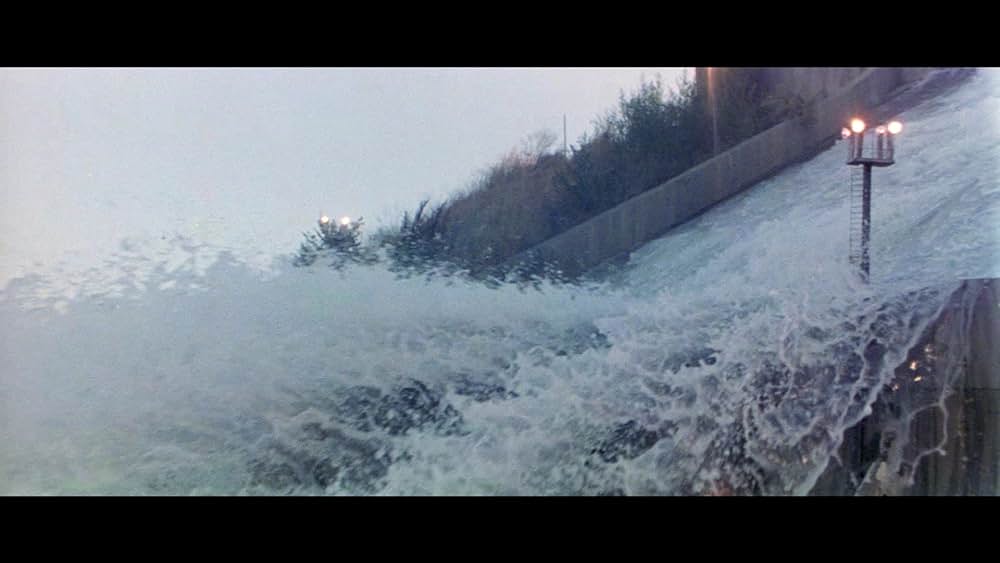 コマンドー・レオパルドの画像