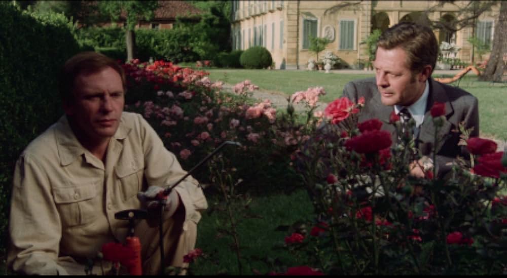 La donna della domenica（原題）の画像