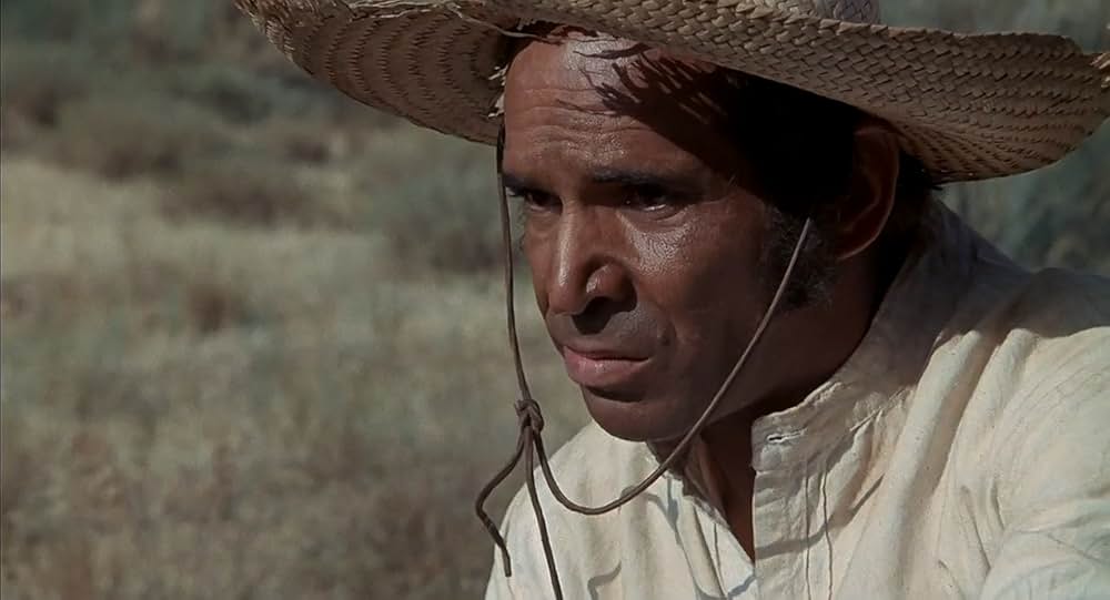 100挺のライフルの画像