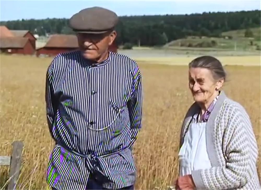 天使のともしびの画像