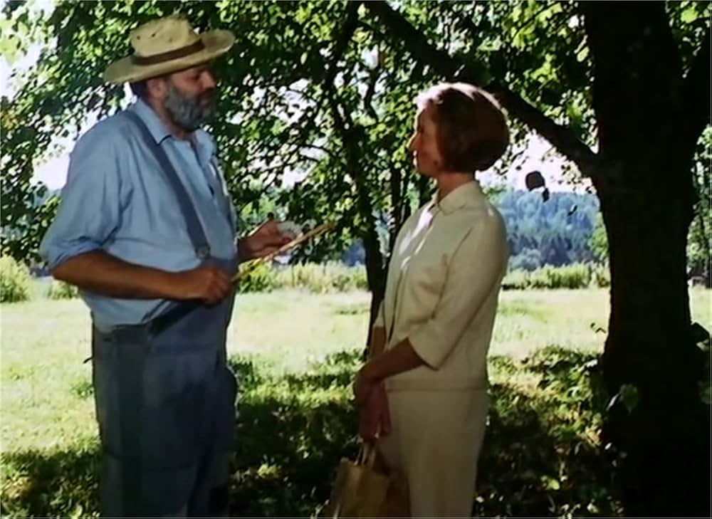 天使のともしびの画像