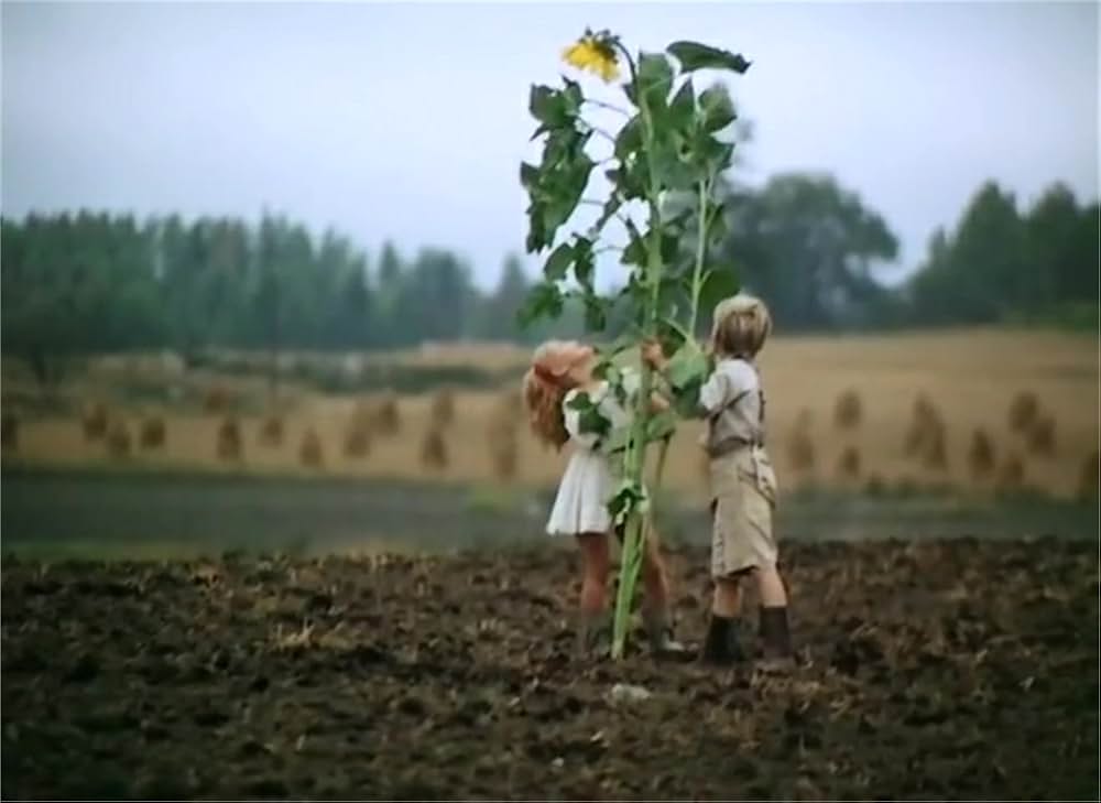 天使のともしびの画像