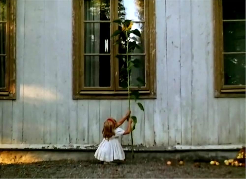 天使のともしびの画像