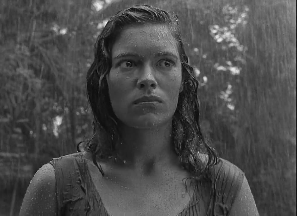 文化果つるところの画像