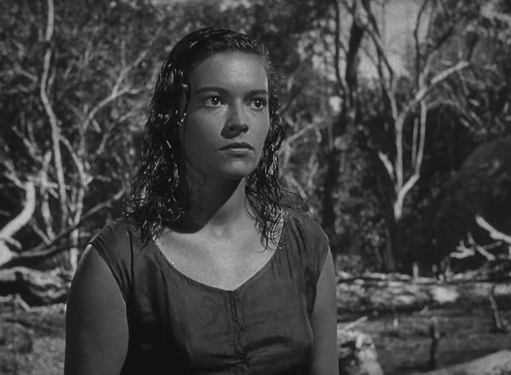 文化果つるところの画像