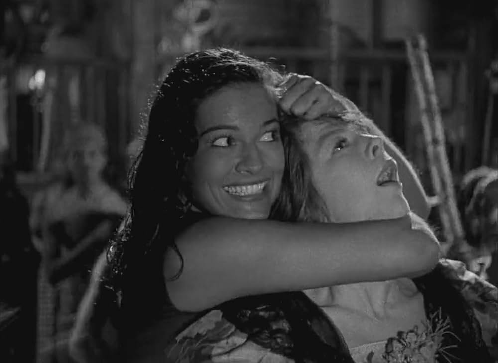 文化果つるところの画像