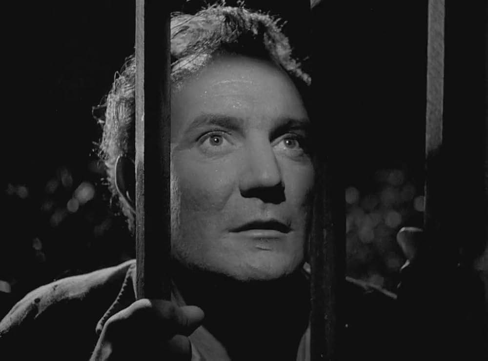 文化果つるところの画像