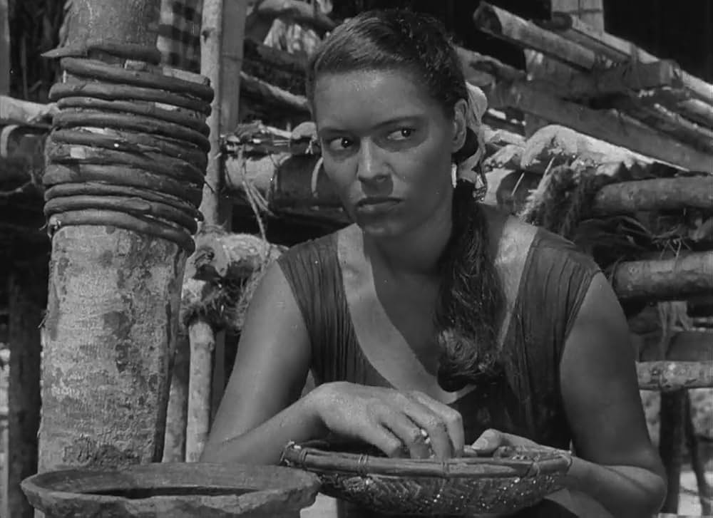 文化果つるところの画像