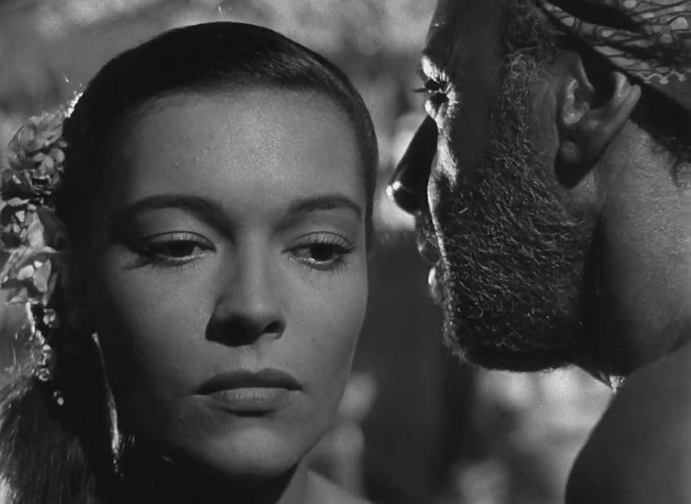 文化果つるところの画像