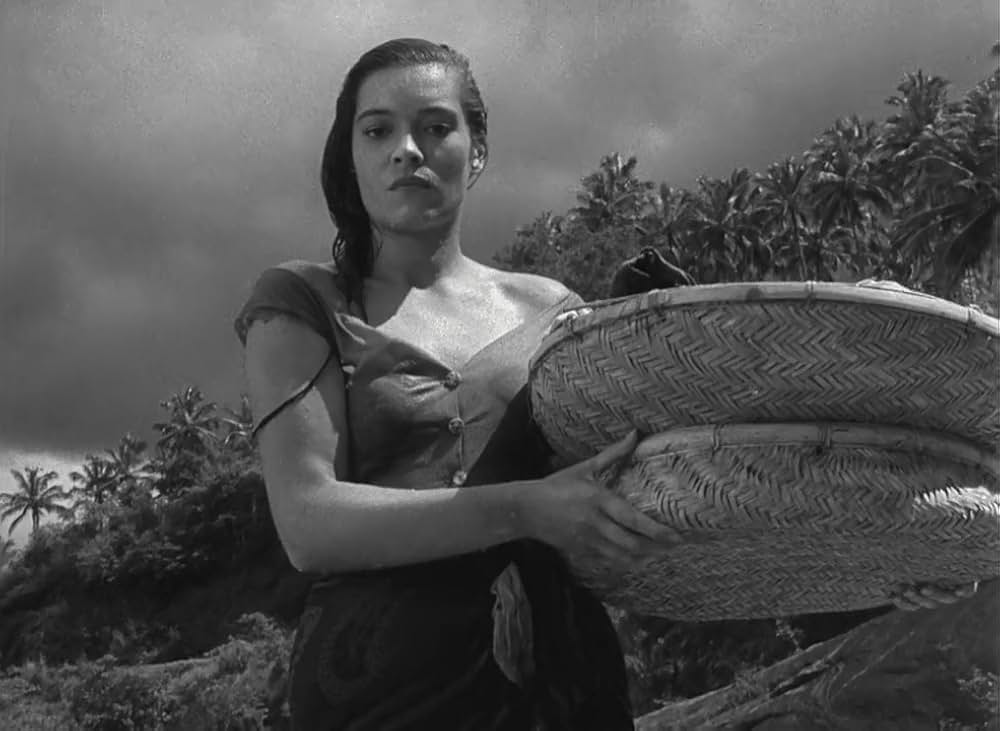 文化果つるところの画像