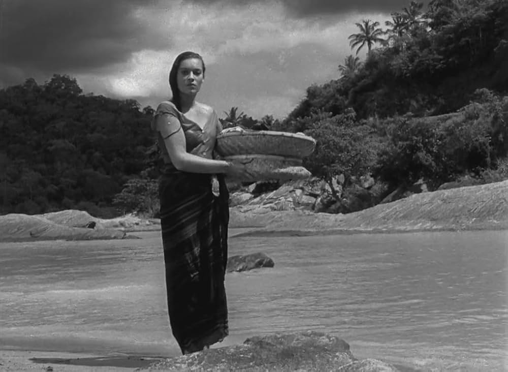 文化果つるところの画像