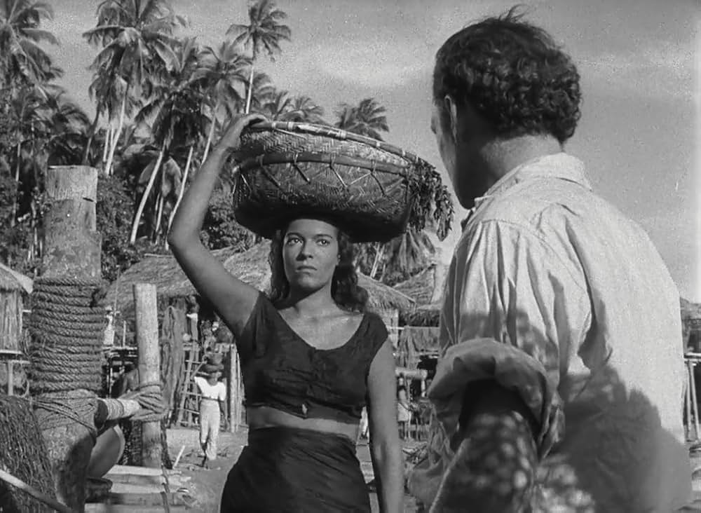 文化果つるところの画像