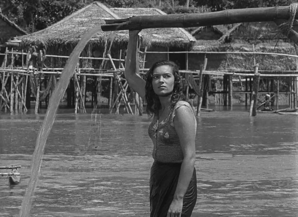 文化果つるところの画像