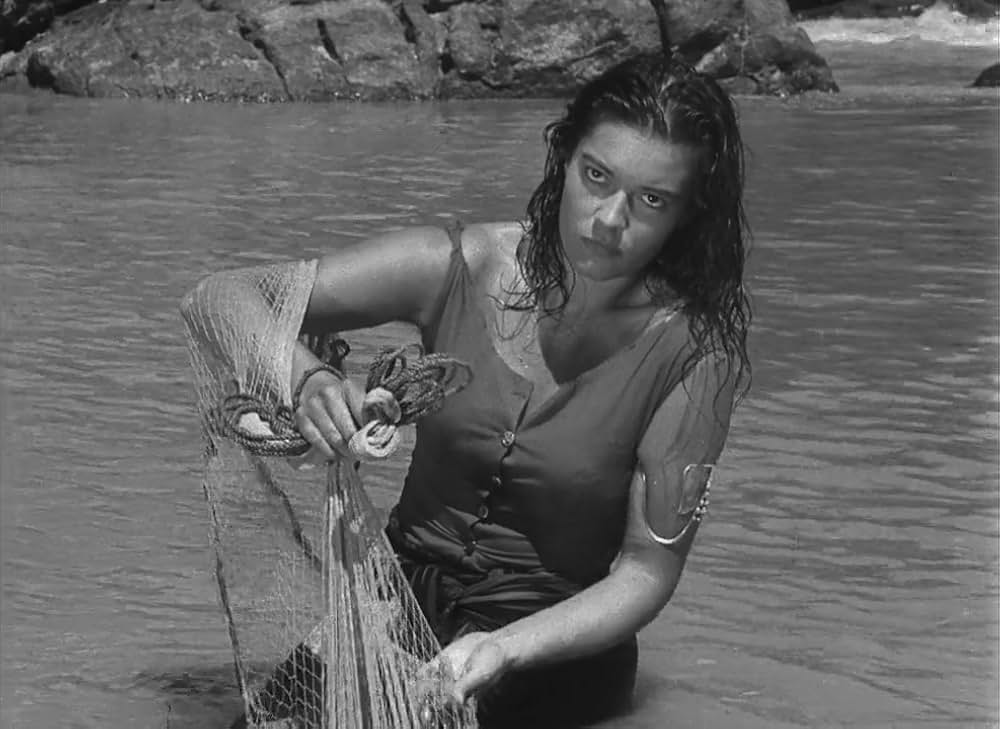 文化果つるところの画像