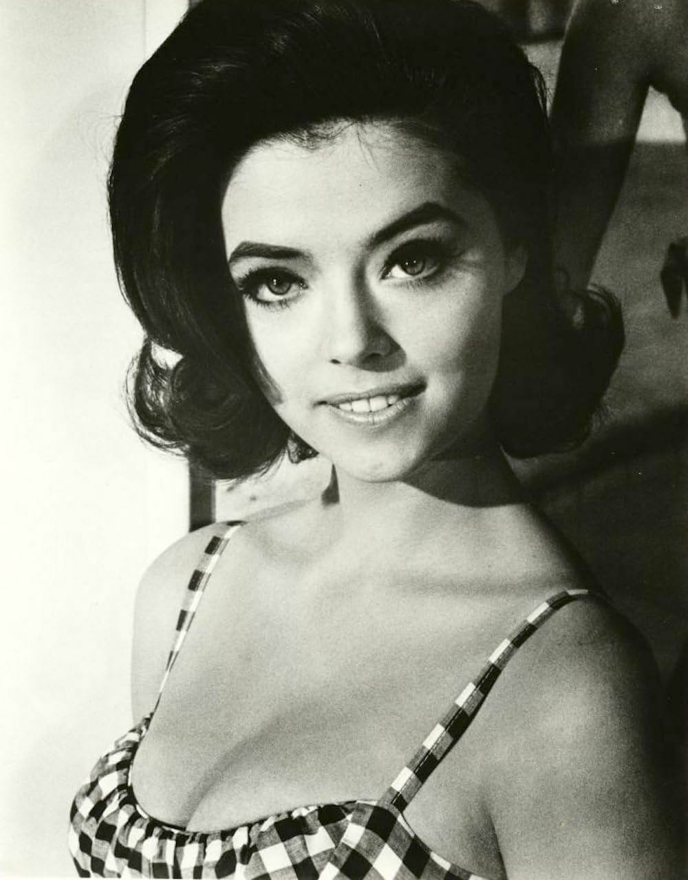 スインガーの画像