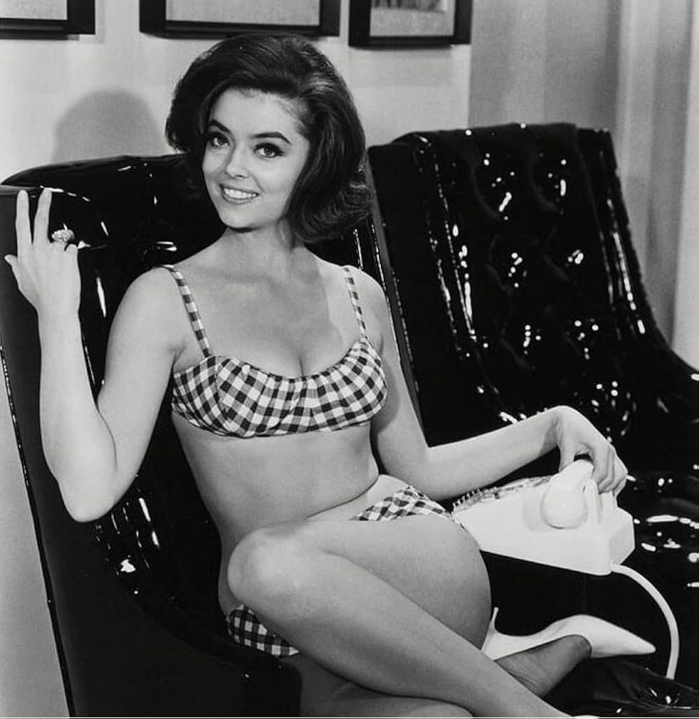 スインガーの画像