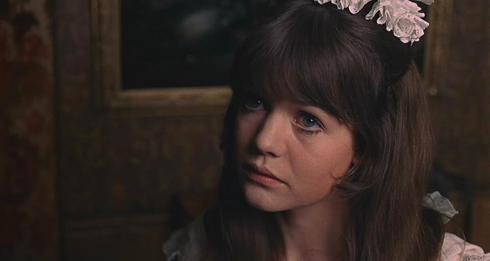 呪われた棺の画像