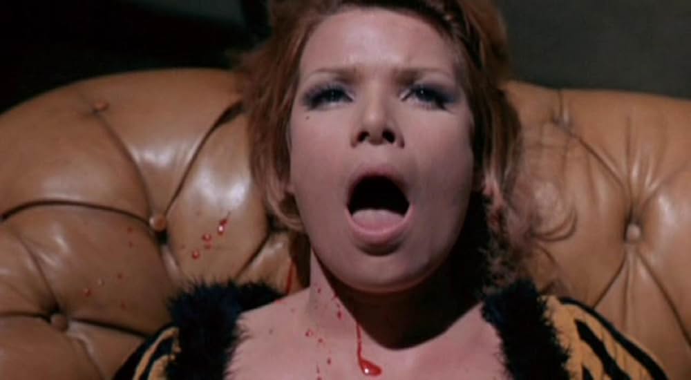 呪われた棺の画像