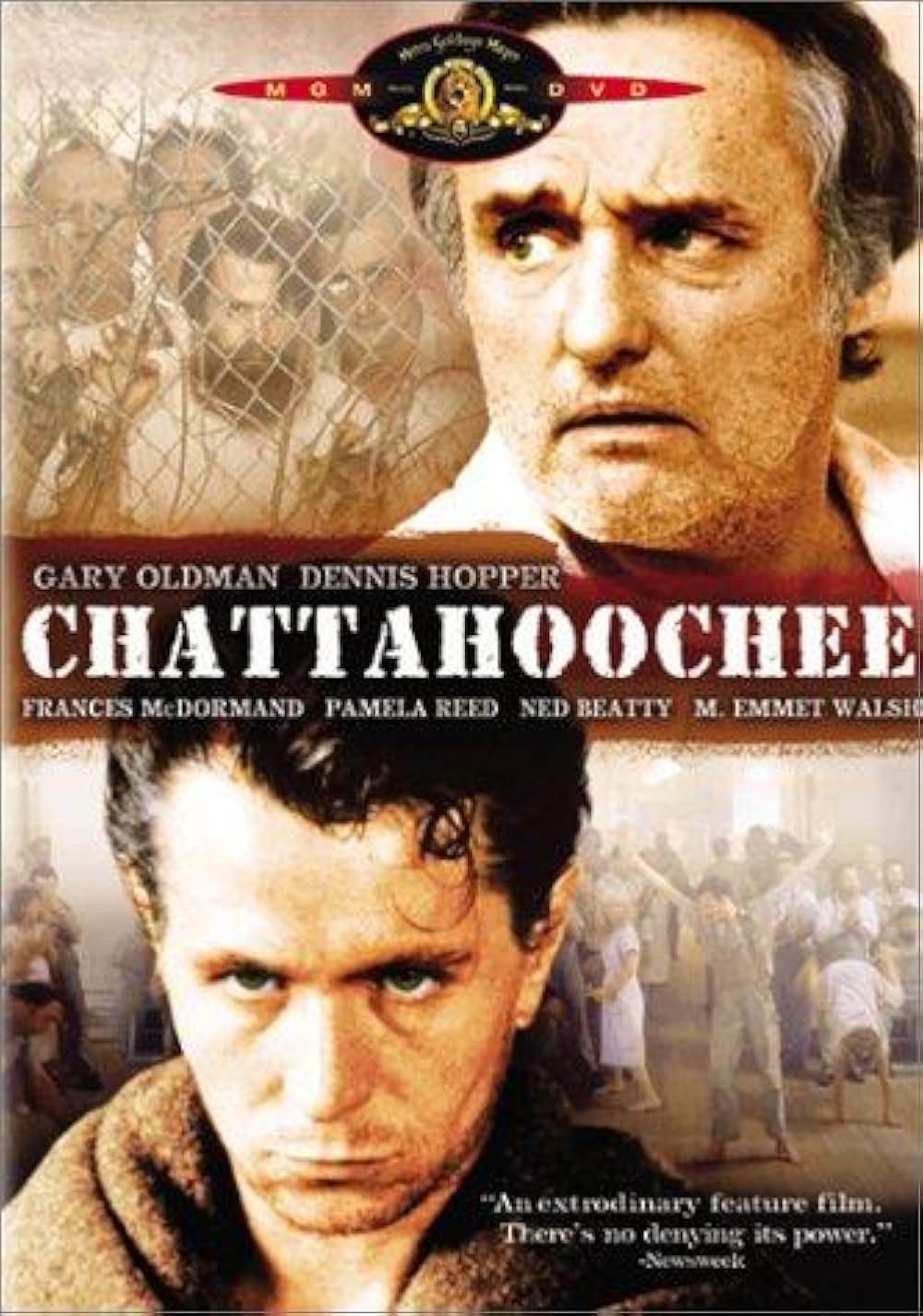 理由なき発砲の画像