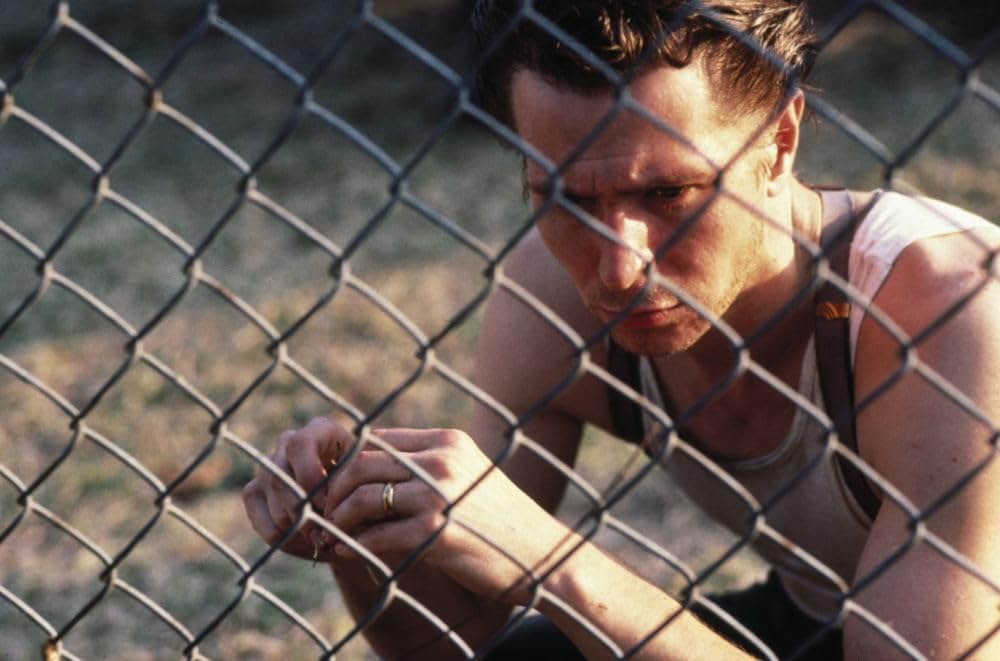 理由なき発砲の画像