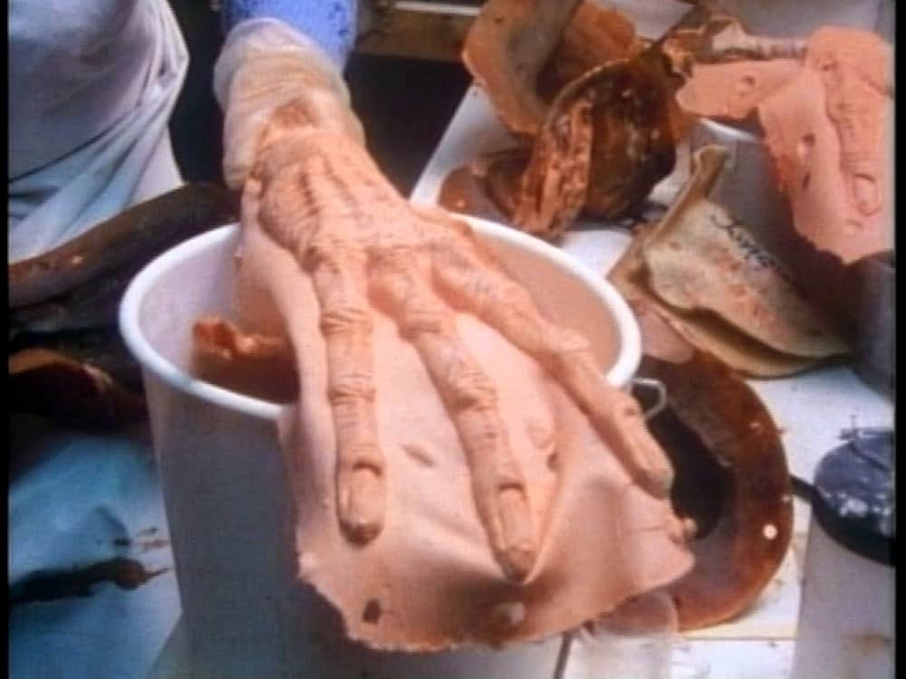 メイキング・オブ・ラビリンスの画像