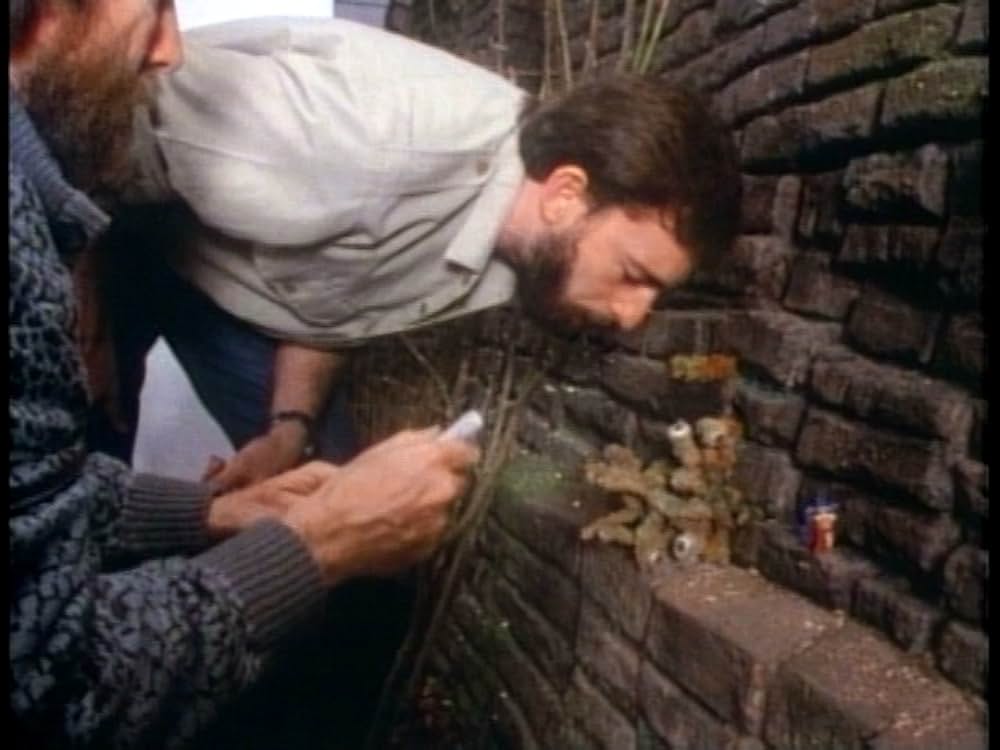 メイキング・オブ・ラビリンスの画像