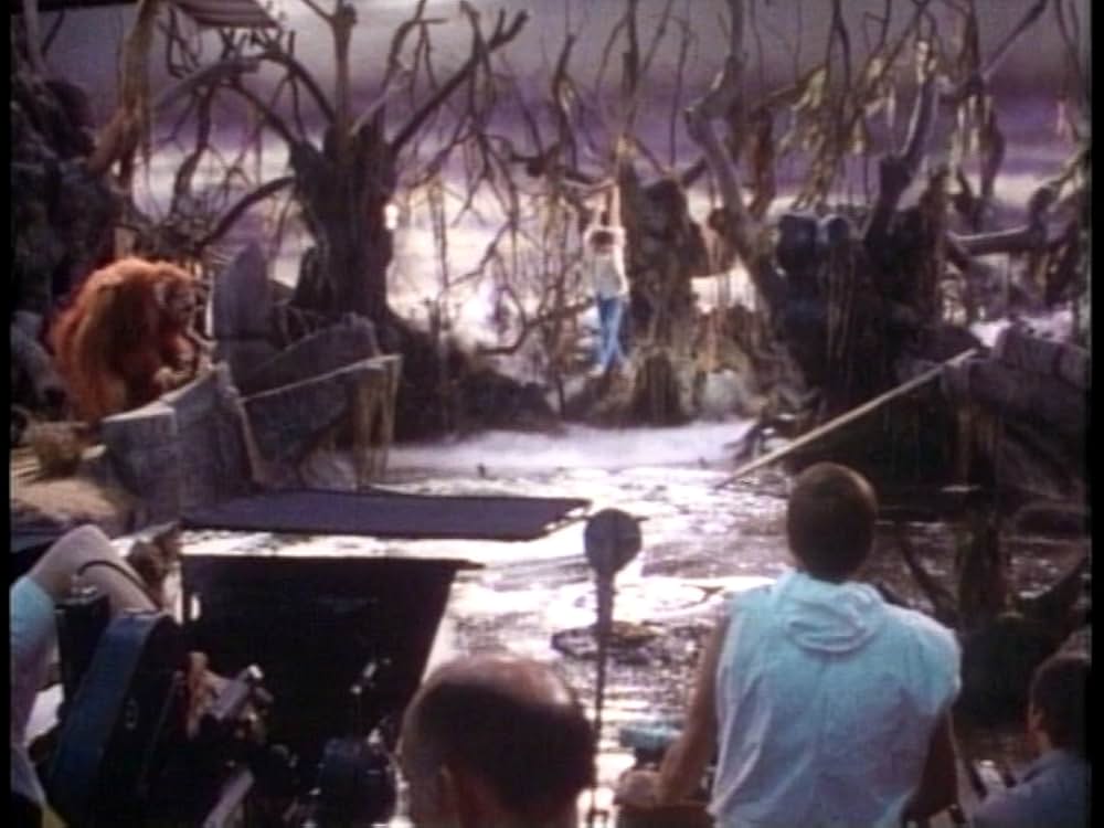 メイキング・オブ・ラビリンスの画像