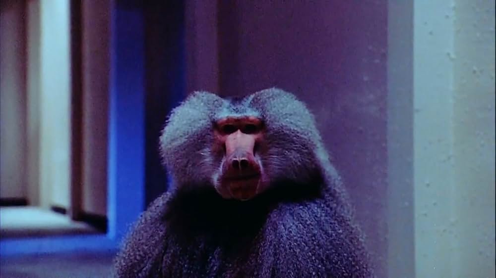 パニック・イン・ザ・タワーの画像