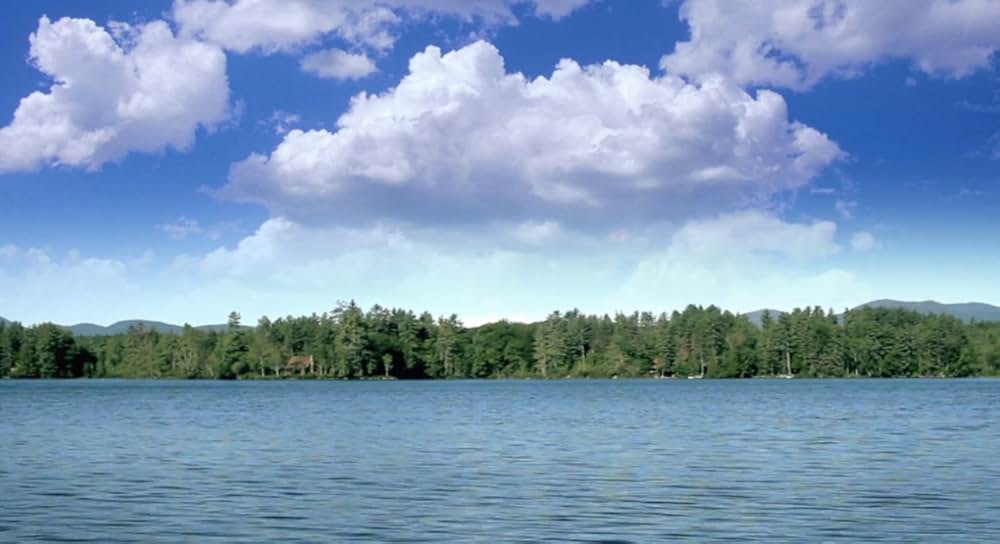 スティーヴン・キングは殺せない!?の画像