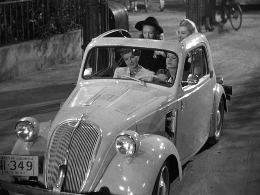 陽気なルームメイトの画像