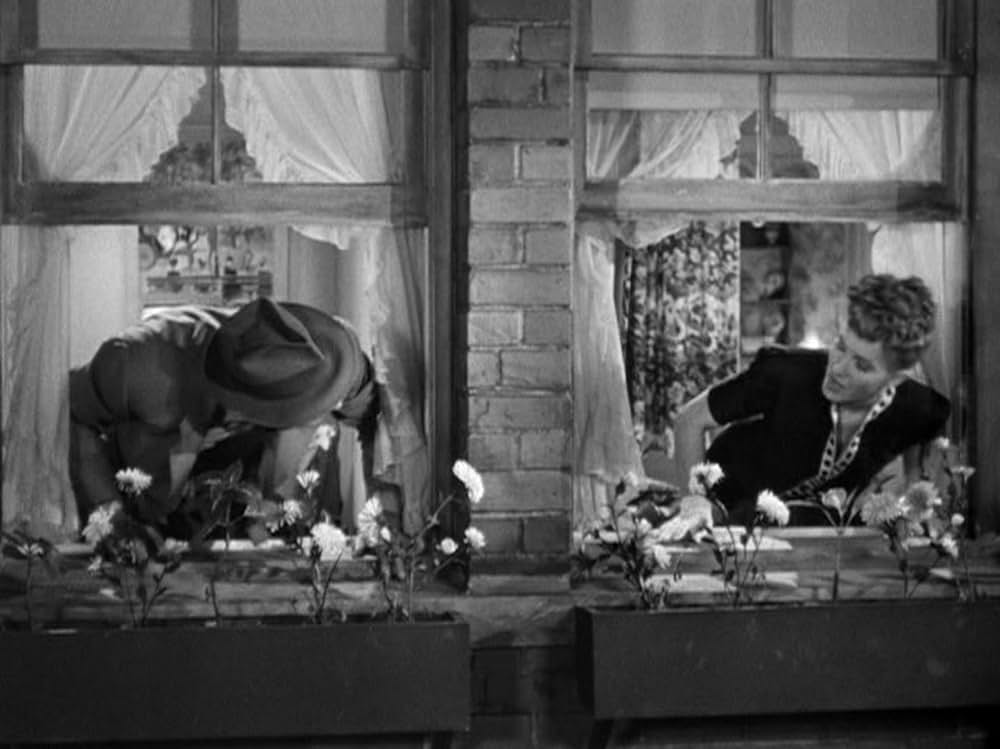 陽気なルームメイトの画像