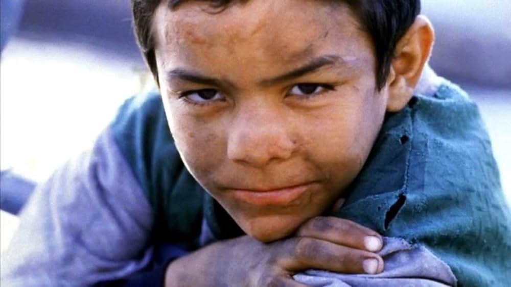 アリ・ザウアの画像